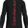 Calvin Klein Ανδρική Μακρυμάνικη μπλούζα Essential Back Instit Ls Tee J30J322345-0GM - Image 2