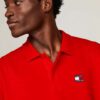 Tommy Hilfiger Ανδρικό Κοντομάνικο Polo Tjm Reg Badge Polo DM0DM18314-XNL Deep Crimson - Image 4