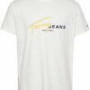 Tommy Jeans Ανδρική Κοντομάνικη Μπλούζα T-shirt Tjm Reg Signtr Dna Tee Ext DM0DM20817-YBL Ecru - Image 4